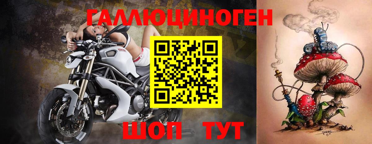 Галлюциногенные грибы Cubensis Михайловск