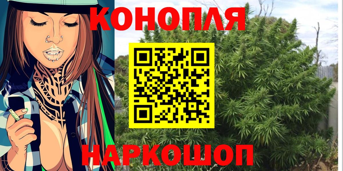 Конопля марихуана Михайловск
